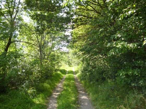 unterwegs nach Hoheneiche