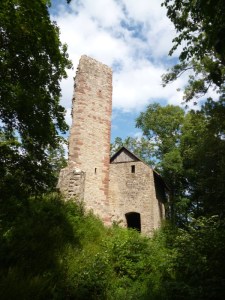 P1010050 unterwegs nach Hoheneiche / Boyneburg