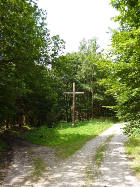 unterwegs nach Reichenbach