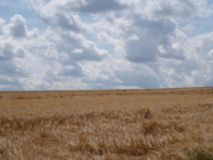 unterwegs nach Homberg