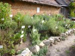 Kräutergarten