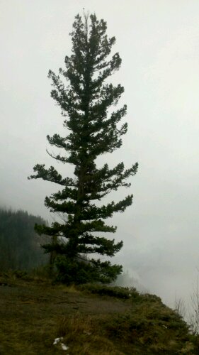 2012-10-27_13-01-33_563.jpg image