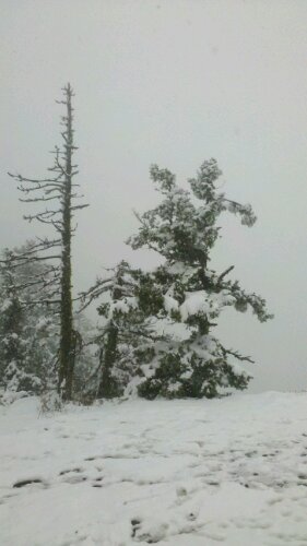 2012-10-27_13-59-46_561.jpg image