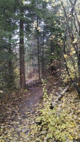 2012-10-27_15-15-12_773.jpg image